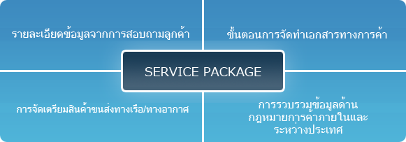 SERVICE PACKAGE